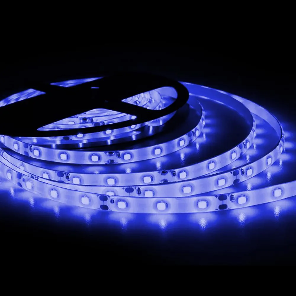 LED Standard Tape Lights 12V DC 16 ft Reel